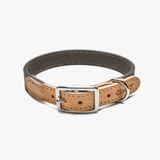 Hundhalsband Läder & Canvas Tivoli Greige - Cloud7 S