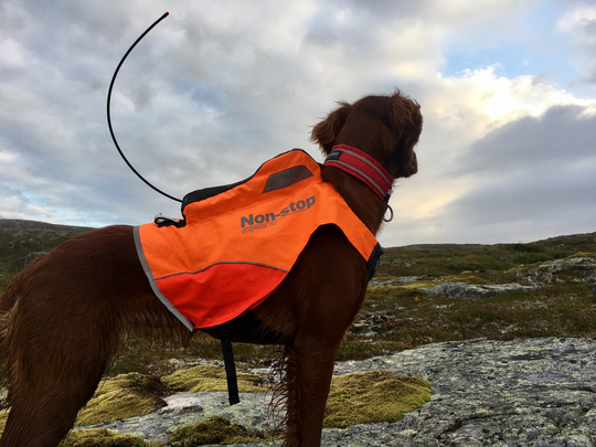 Förstärkt Jaktväst med GPS-ficka - XXS