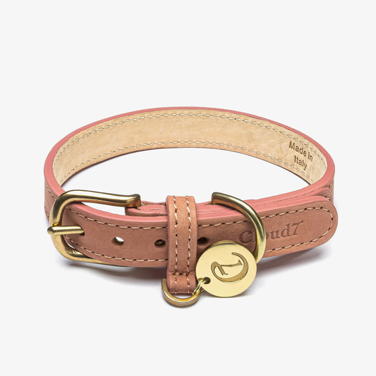 Hundhalsband Nubuckläder Tiergarten Peach - Cloud7 XS