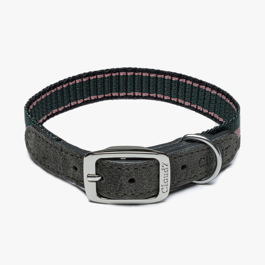 Hundhalsband Olympia Park Mocca Forest - Cloud7 S