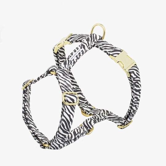 Hundsele Color Pop Zebra - See Scout Sleep M PLUS