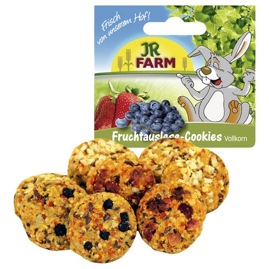 JR Farm fullkornskex med frukt - Ekonomipack: 2 x 6 st