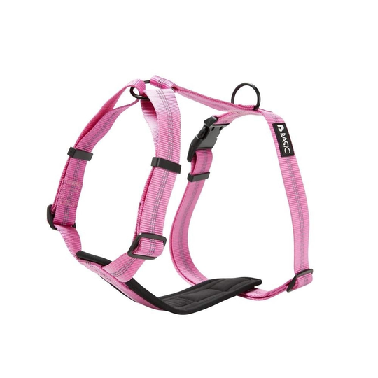Basic First Y-sele Violett (XS)