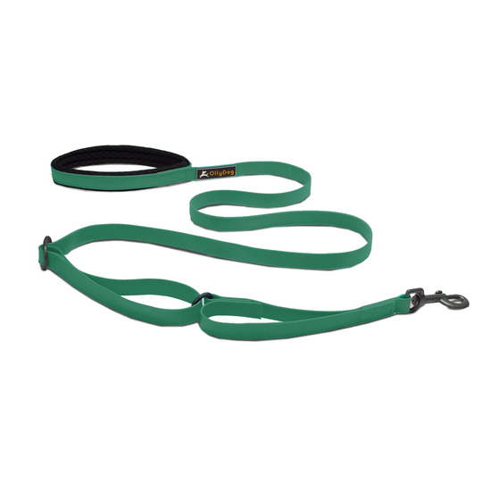 Ollydog Tilden Waterproof koppel Teal