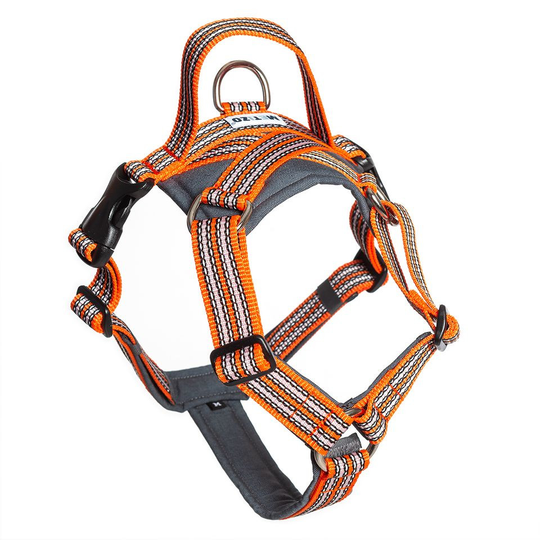 Future Walking Sele - XXS / Orange