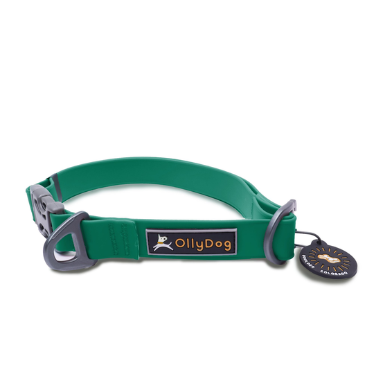 Ollydog Tilden Waterproof halsband- Teal (L)