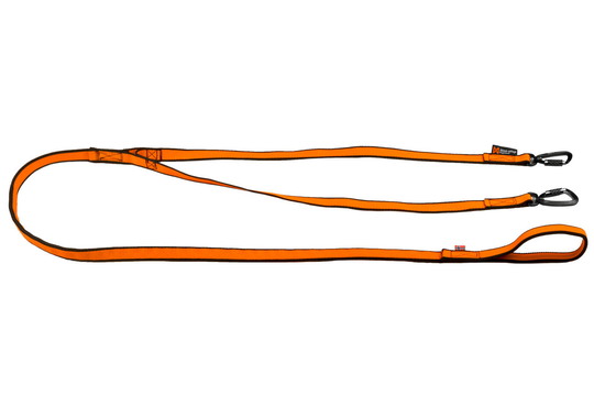 Bungee Y-leash för Två Hundar - 2.8 m