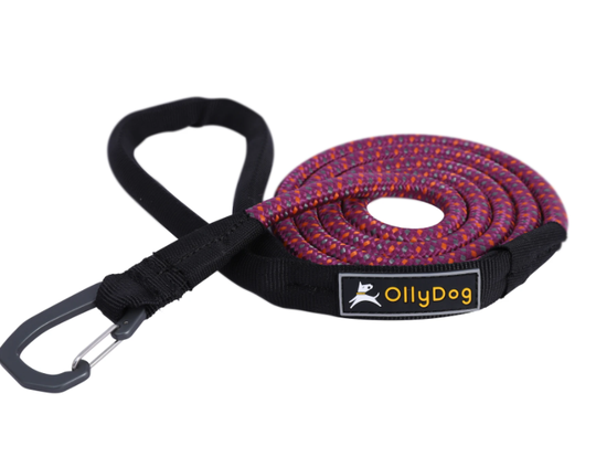 OllyDog - Mountain Leash Hundkoppel Lila