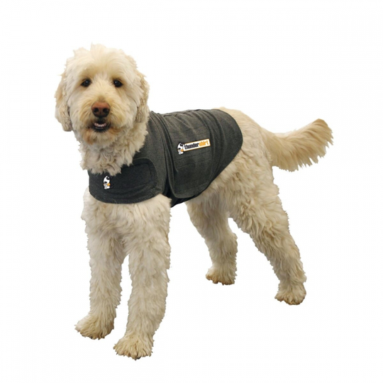 Thundershirt till Hund (XS)