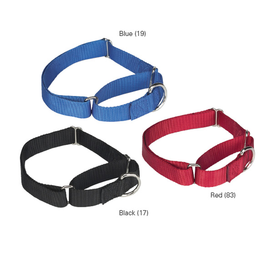 Martingale Ställbara Halvstryp utan Kedja (35-51 cm) (Bluebird)