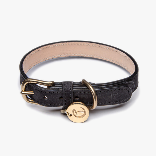 Hundhalsband Nubuckläder Tiergarten Svart - Cloud7 S