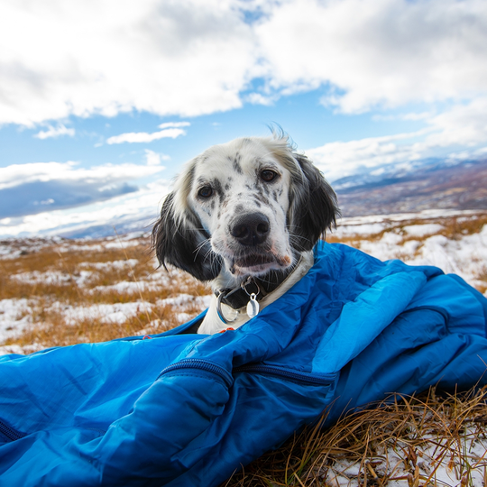 Non-stop Dogwear Ly Sovsäck för hund (Small)