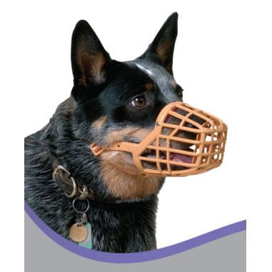 PRO DOG Munkorg (1)