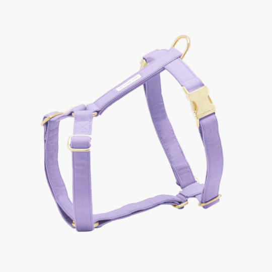 Hundsele Color Pop Lilac - See Scout Sleep L