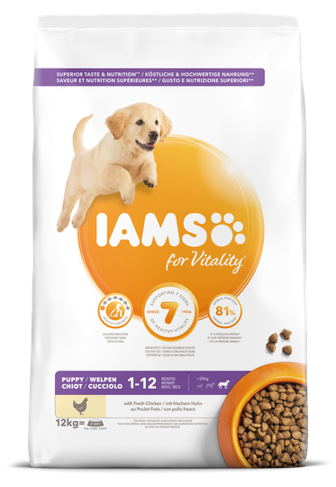 Dog Large Puppy - 12 kg
