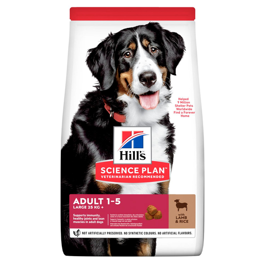 Adult Large Breed torrfoder med lamm och ris - 14 kg