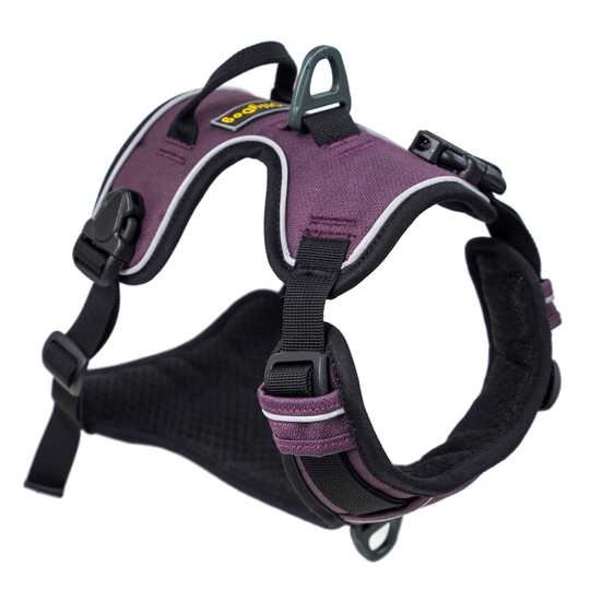 OllyDog Alpine Reflective Harness - finns i flera färger (M) (Vin)