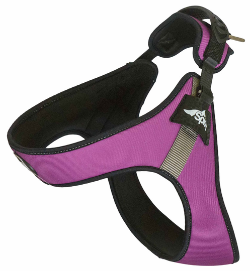 FOP Spidy Hundsele Viola L-XL (L - 20/26 cm)