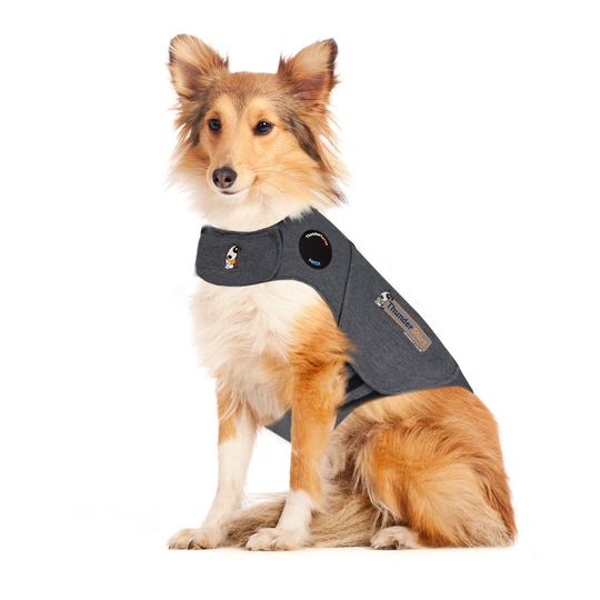 Thundershirt - XS