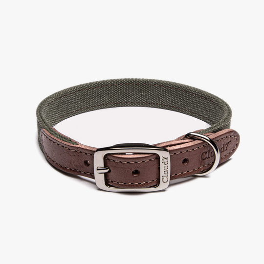Hundhalsband Läder & Canvas Tivoli Olive - Cloud7 XS