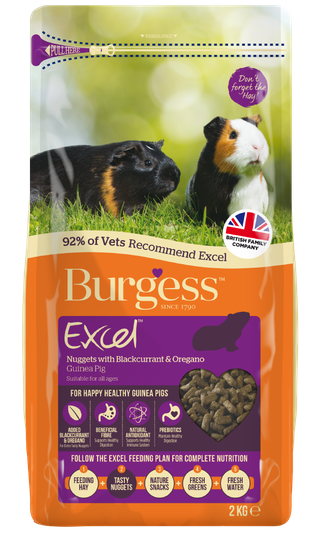 Excel Oregano & Svarta Vinbär Marsvinsfoder - 1,5 kg