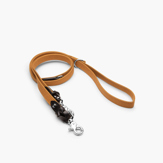 Multikoppel Signature Senapsgul Svart 200 cm - Denjo Dogs S