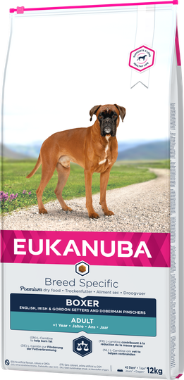 Dog Boxer - 12 kg