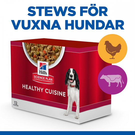 Hill's Science Plan Canine Adult Healthy Cuisine Chicken & Beef 12x90 g