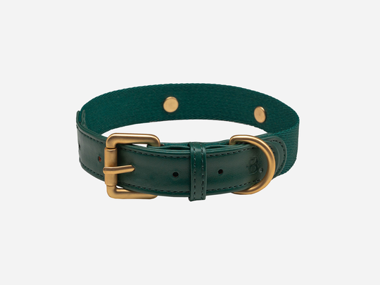 Konny Collar - XS / Emerald Green