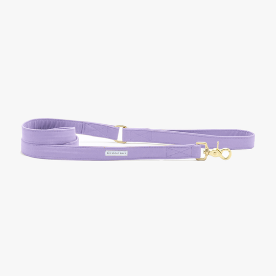 Hundkoppel Color Pop City Lilac - See Scout Sleep S