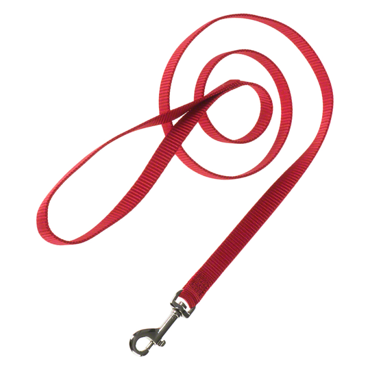 HUNTER Ecco Sport halsband + koppel, rött - Halsband storlek S + koppel 110 cm / 15 mm
