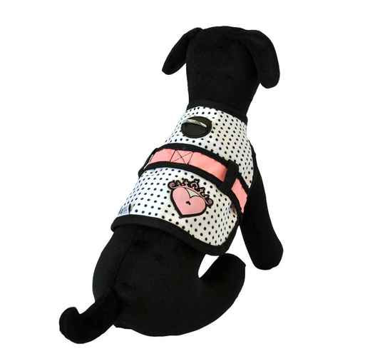 26 Bars & a Band Avant Garde Couture Hundsele (XS)