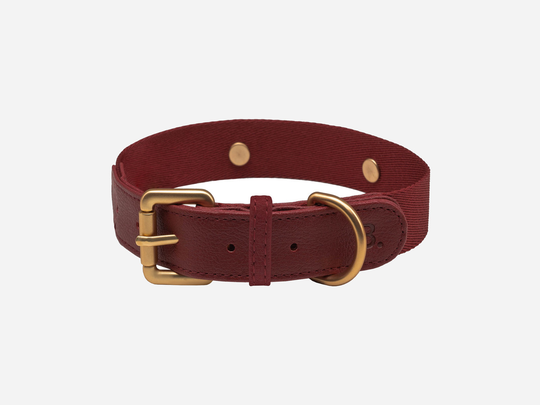 Konny Collar - XS / Burgundy