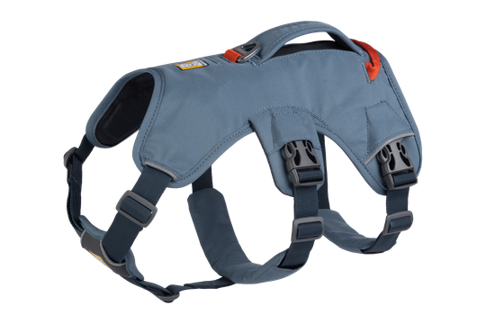 Ruffwear Web Master™ Sele - Slate Blue (XXS)