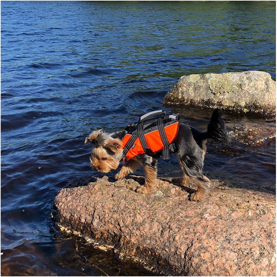 Rukka Safety Flytväst Hund - Orange (M)