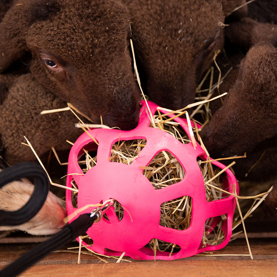 Holland Animal Care- Mjuk Höboll / Slowfeeder - rosa