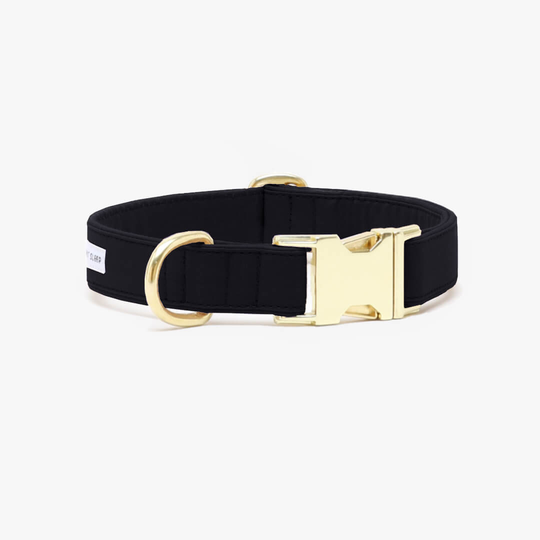 Hundhalsband Color Pop Svart - See Scout Sleep S