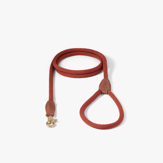 Hundkoppel Torekov Rusty Bronze - Denjo Dogs M - 160 cm