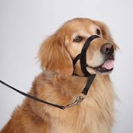 PetSafe Easy Walk Nosgrimma - Svart (L)