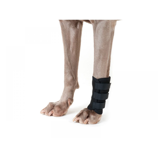 Back on Track Hundbenskydd Svart 1-pack (S)