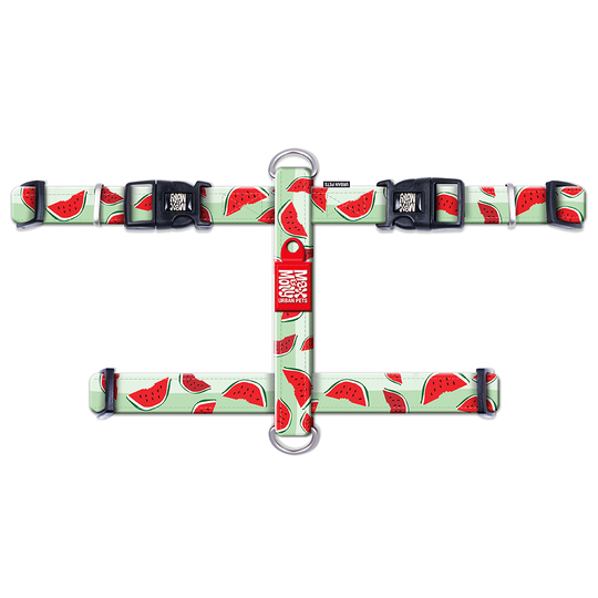 Max & Molly Watermelon H-sele - Storlek M: 53-69 cm Bröstomfång