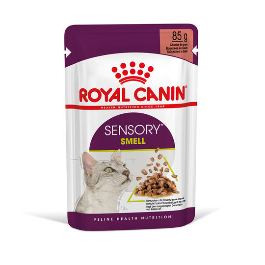 Royal Canin Sensory Smell i sås - 24 x 85 g