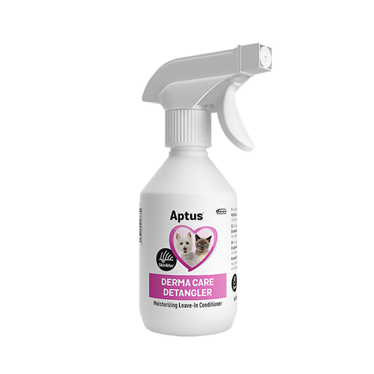 Derma Care Detangler - 250 ml
