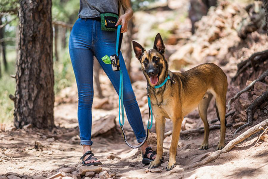 OllyDog - Flagstaff Adjustable Spring Leash hundkoppel- Raven Bark
