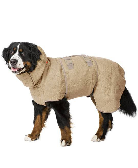 Siccaro WetDog SupremePro - Elmwood (L)