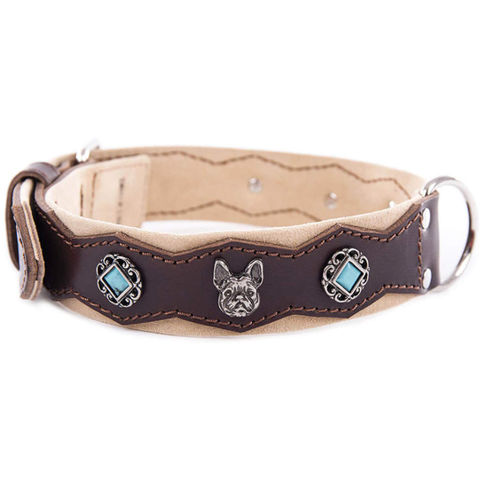 Martin Sellier Bulldog Turquoise Läderhalsband med Nitar - Brun (60 cm)