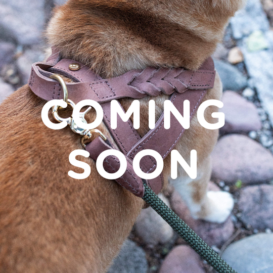 COMING SOON Hundsele Stockholm Läder Hazel - Denjo Dogs XL