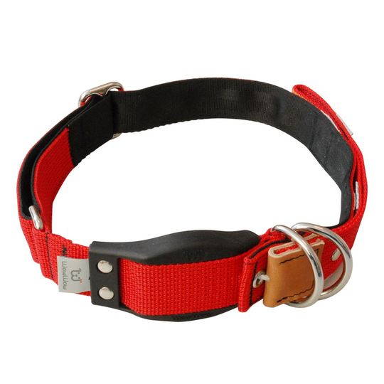 WowWow Professional, rött hundhalsband - Stl. L: 46 - 66 cm halsomfång, B 35 mm