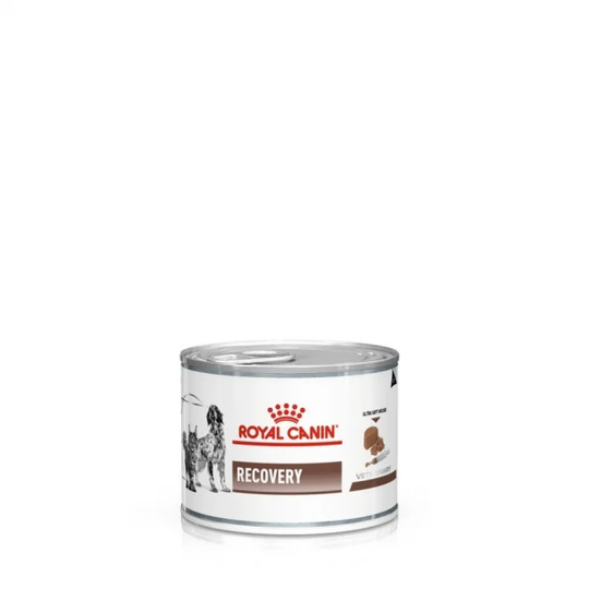 Gastrointestinal Recovery Ultra Soft Mousse In Can - 12 x 195 g