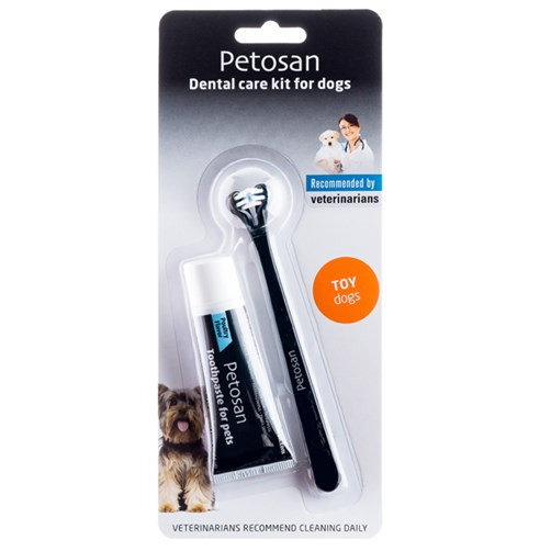 Dental Kit - X-Small